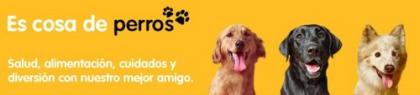 es cosa de perros