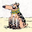 Avatar de sufur