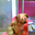 Avatar de tHaly-Ta