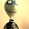 Avatar de chicotoxico