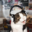 Avatar de alxinako