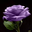 Avatar de ANA MARÍA PAZ PAZ