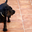 Avatar de oskar