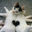 Avatar de mavi099