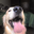 Avatar de urquizap