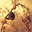 Avatar de amvi88