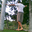 Avatar de butardilla