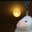 Avatar de nil7