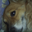 Avatar de janiscat