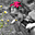 Avatar de valero28