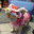 Avatar de mochisan