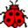 Avatar de kukolote