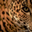 Avatar de oversid3