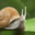 Avatar de emegge