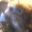 Avatar de reborn-