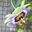 Avatar de zeditas
