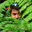 Avatar de viktorleon
