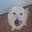 Avatar de pedropicadillo