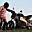 Avatar de vtwin