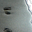 Avatar de lupe