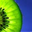 Avatar de Kiwi