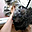 Avatar de Eva