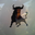 Avatar de pablotaxco