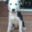 Avatar de tonimanresa
