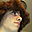 Avatar de Guillermo Julián
