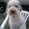 Avatar de dolceagnese