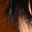 Avatar de jaakan