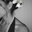 Avatar de heidileon