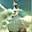 Avatar de henmex