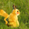 Avatar de nazhox15