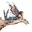 Avatar de xiana