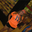Avatar de bojanita11