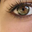 Avatar de florangus