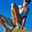 Avatar de wildparadise