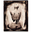 Avatar de onceabird
