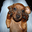 Avatar de net_a09