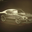 Avatar de rim89