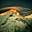 Avatar de meckeverest