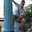 Avatar de solanoxz