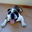 Avatar de pouder
