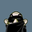 Avatar de camarpi