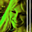 Avatar de larisalilgog