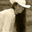 Avatar de paula_gomez