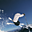 Avatar de samelo_rc