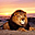 Avatar de www.gabo31.com