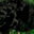 Avatar de ajirasix